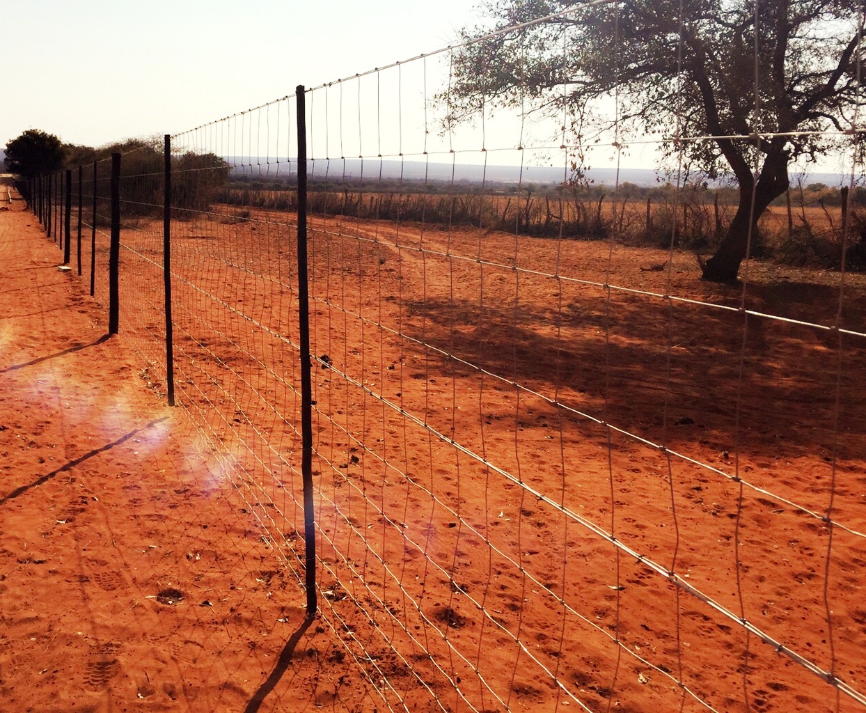 Farm/Game Fencing Manase